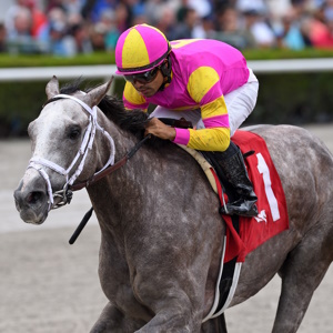 Kentucky Derby Betting Pick – Horse Betting Prediction